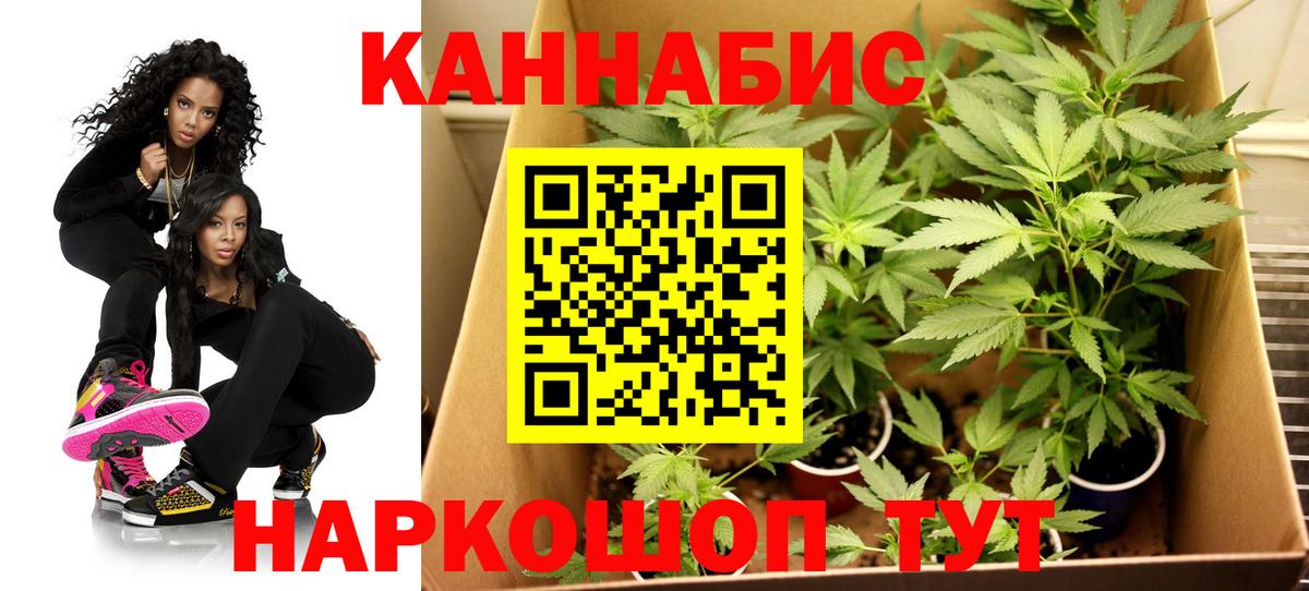 Каннабис White Widow Всеволожск